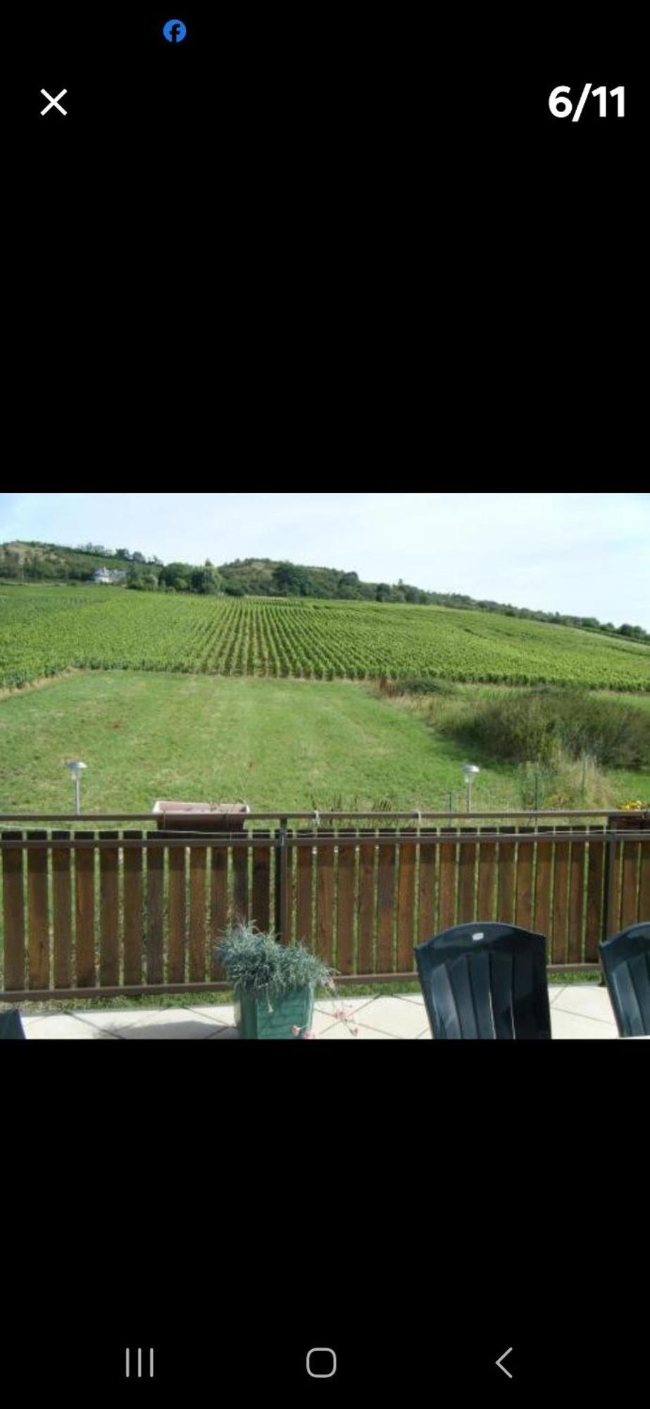 Maison Au Milieu Des Vignes Moroges Bagian luar foto